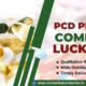 best pcd pharma company in lucknow