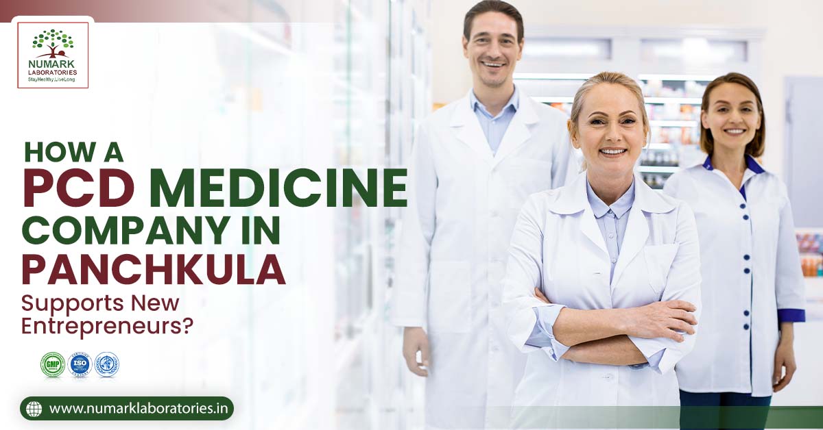 PCD Medicine Company in Panchkula