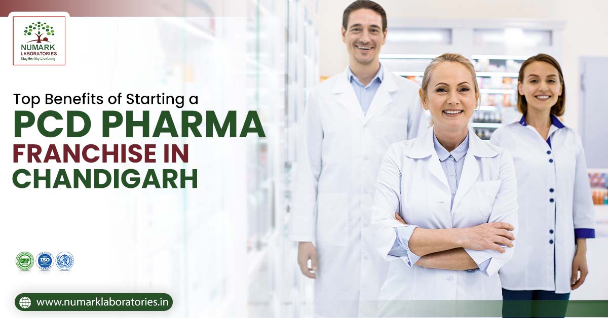 Benefits of Starting a PCD Pharma Franchise in Chandigarh