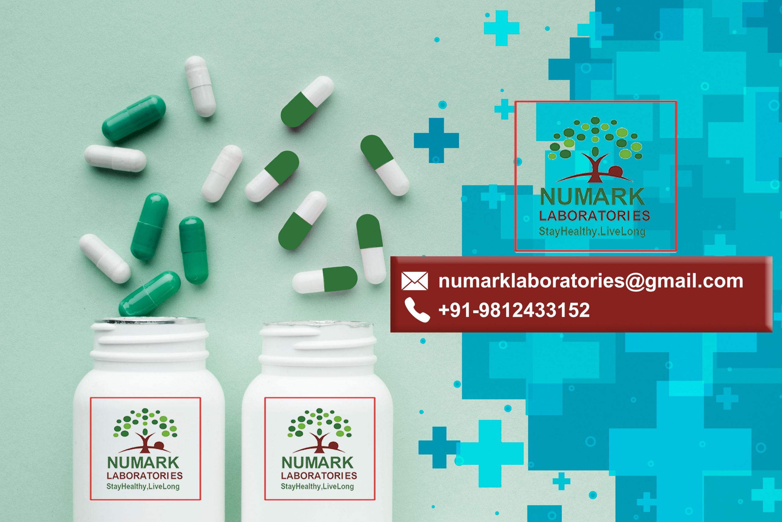 PCD PHARMA FRANCHISE in Panchkula